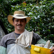 Load image into Gallery viewer, Tres Fuertes Espresso Blend
